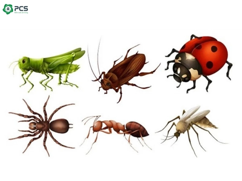 diệt côn trùng sinh học